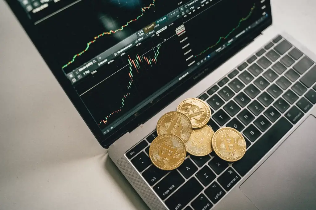 Quanto si può guadagnare con le criptovalute?